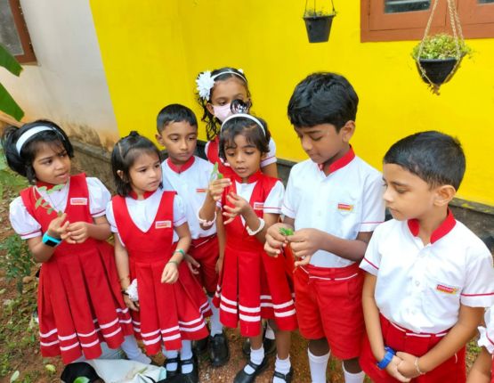 SmartKidz International School event