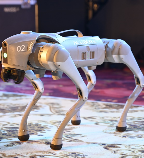 SmartKidz International School song